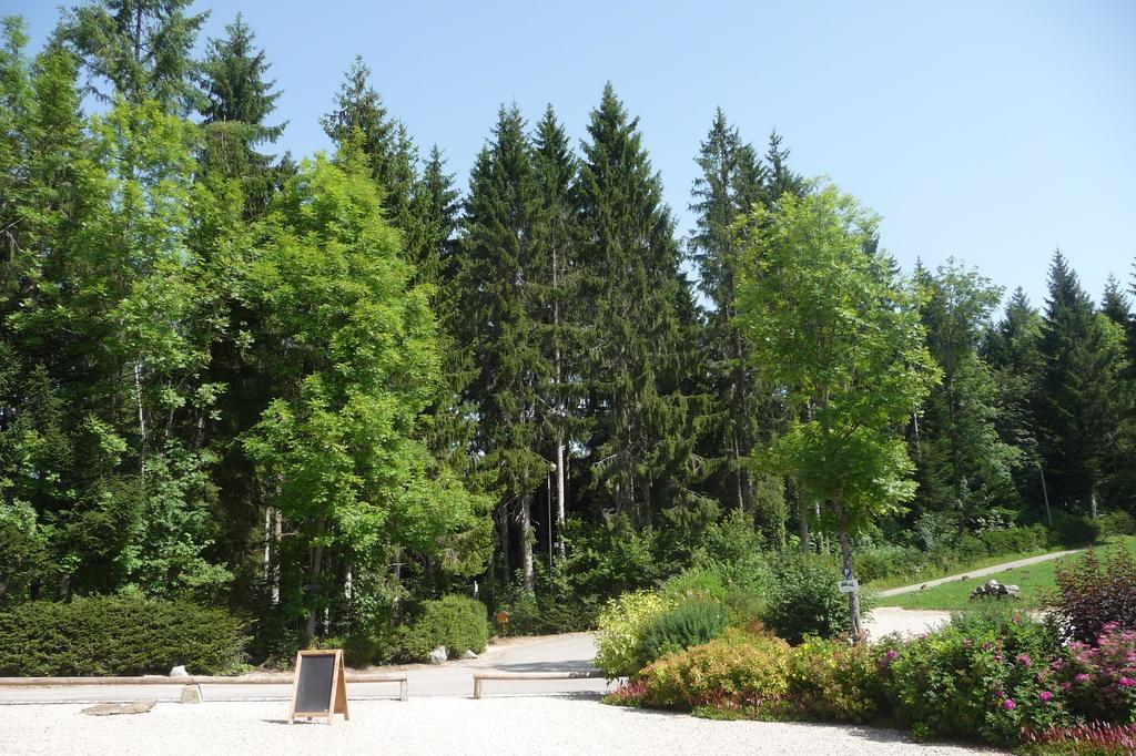 Domaine De La Sapiniere Hotel Thorens-Glieres Bagian luar foto